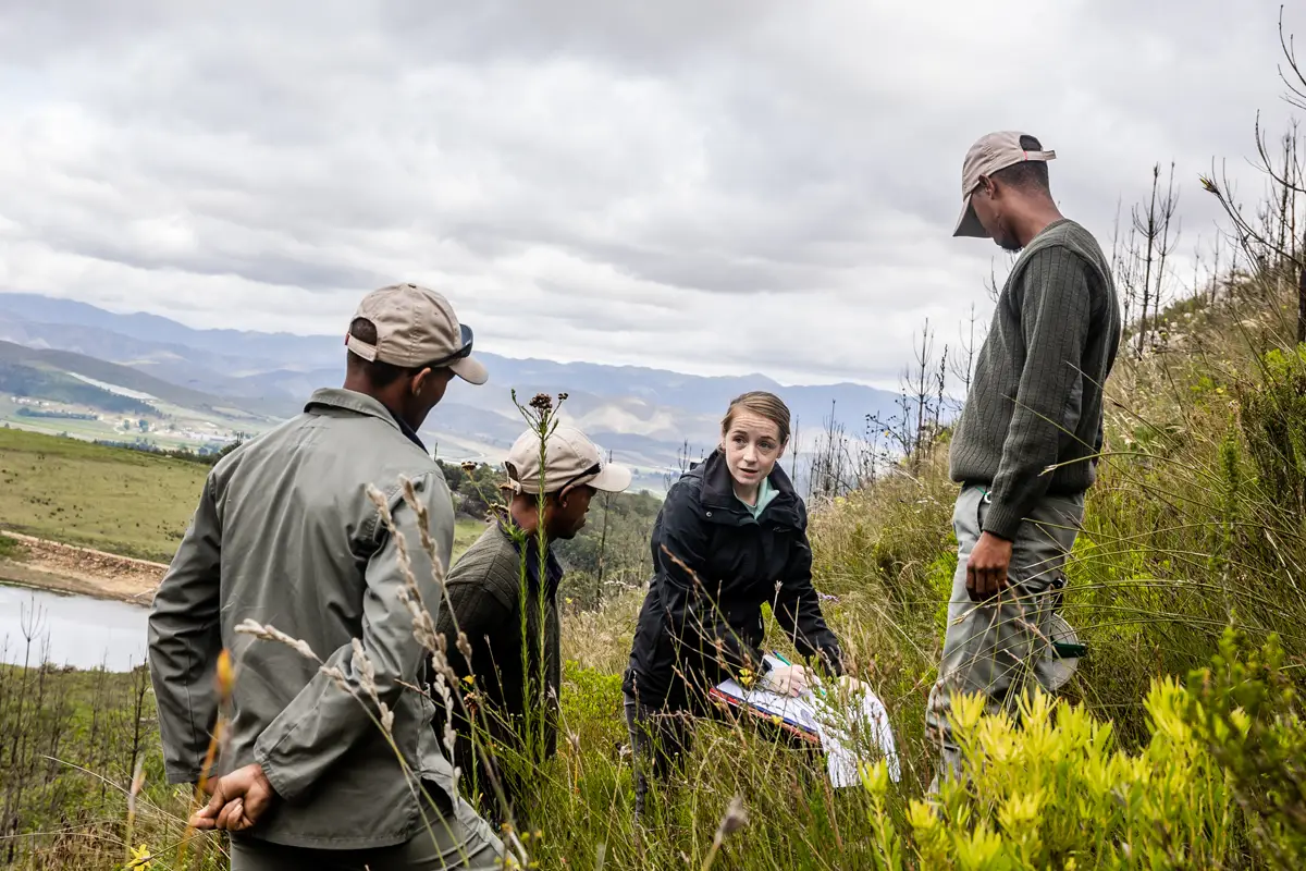 3-Focus---We-are-landscape-based