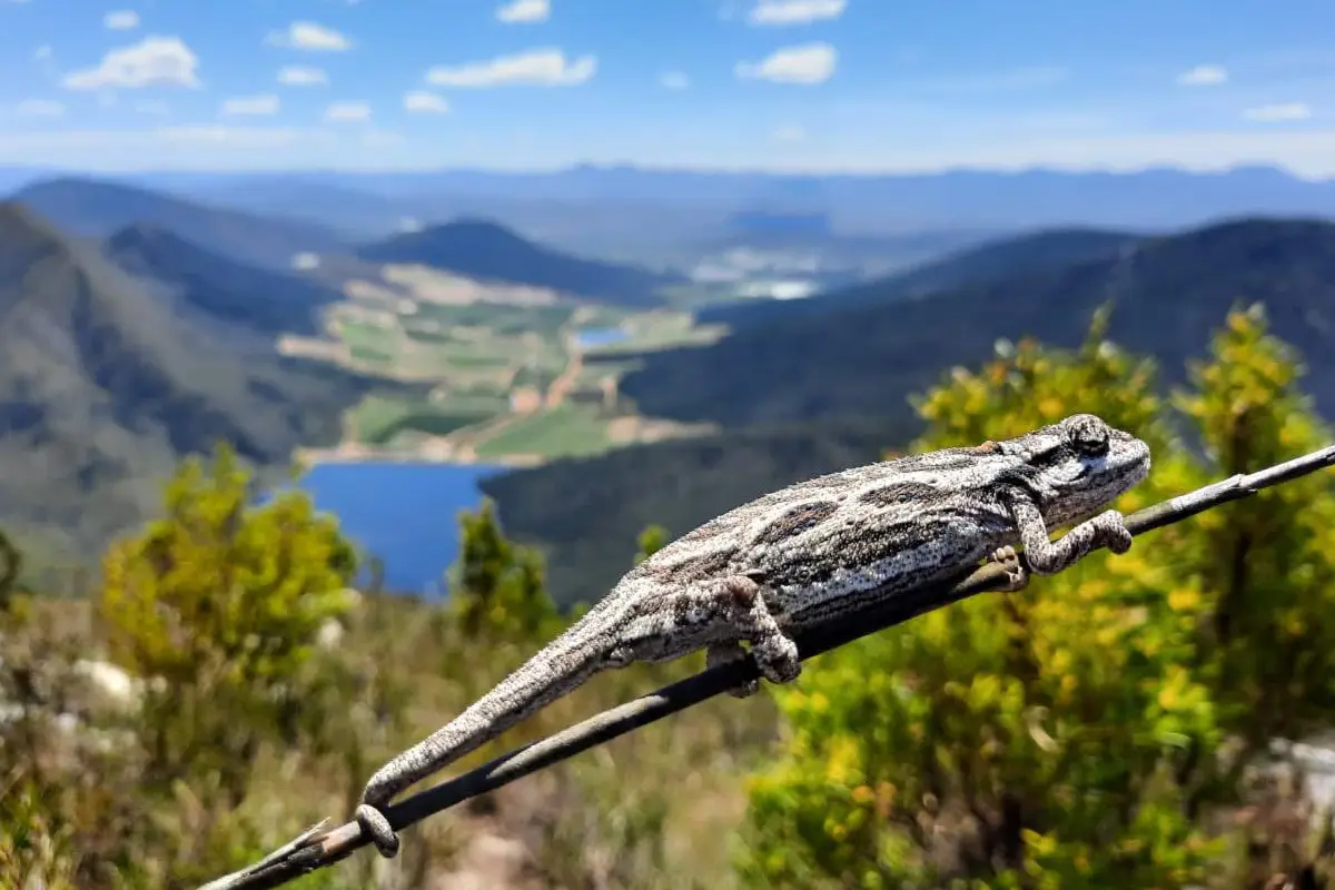 3-Focus---We-are-situated-in-Global-Biodiversity-Hotspots