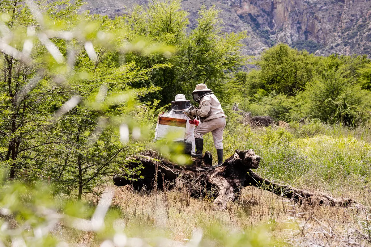 3-Focus---We-support-rural-economic-development